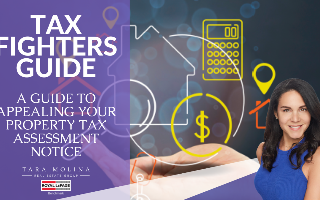 Tax Fighter Guide 2023